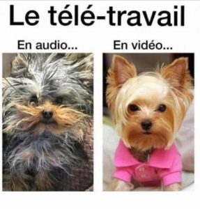 teletravail